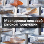 Эксперимент по маркировке консервированной рыбопродукции начнется в РФ в 2022 году