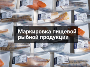 Эксперимент по маркировке консервированной рыбопродукции начнется в РФ в 2022 году